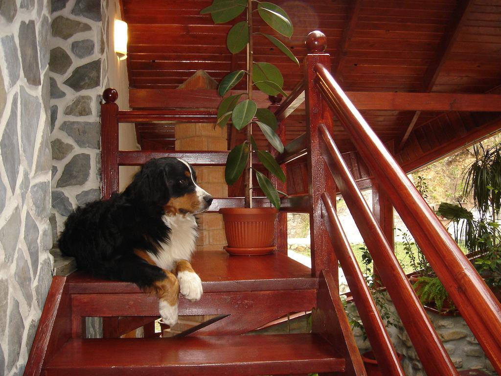 Rem'S Pension Rîşnov Exterior foto