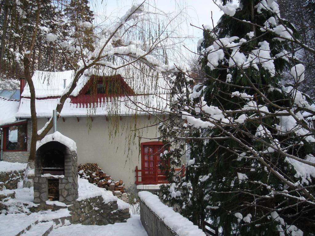 Rem'S Pension Rîşnov Exterior foto